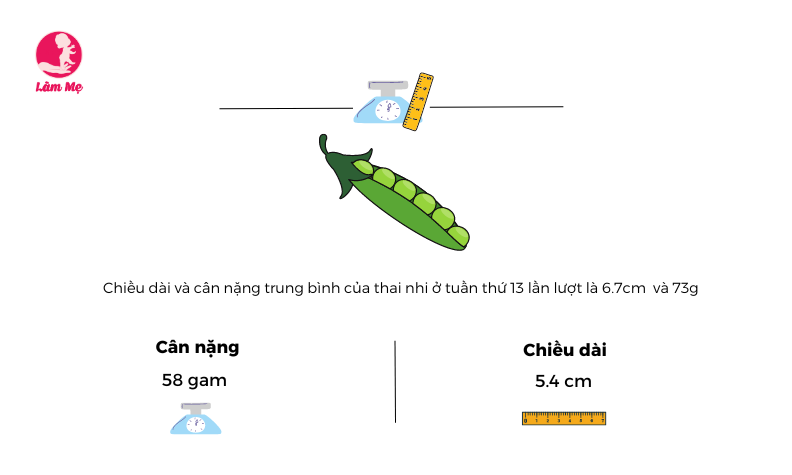 Mang thai tuần 13 có những thay đổi gì?